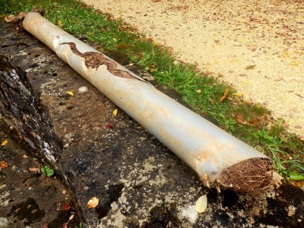 Top Techniques for Professional Sewer Line Repair